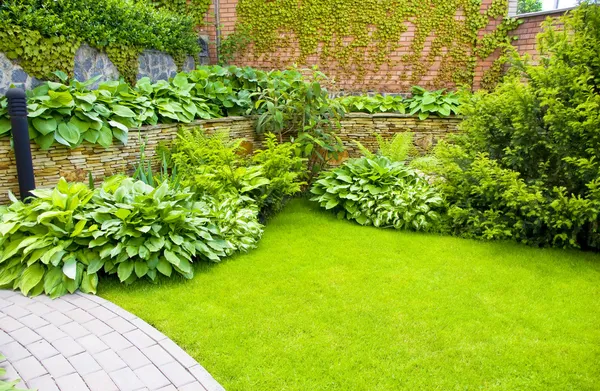Petit jardin, grand effet : astuces et idées pour transformer un espace restreint en un oasis de verdure